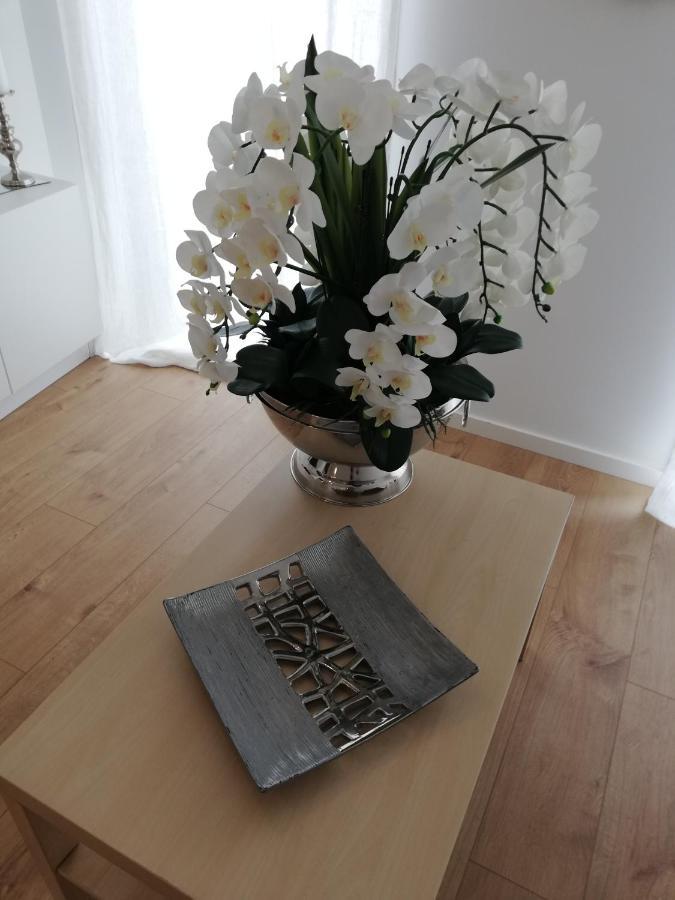 Pearl House Apartment Aveiro Ngoại thất bức ảnh
